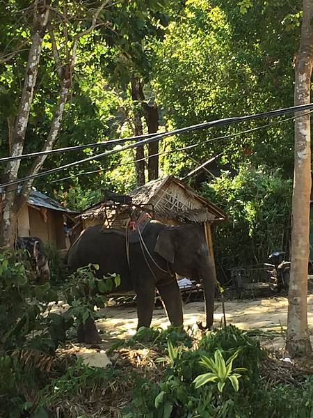 IMG_3387.JPG IMG_3387.JPG