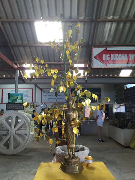 IMG_3422.JPG IMG_3422.JPG