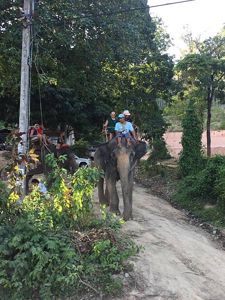 IMG_3434.JPG IMG_3434.JPG