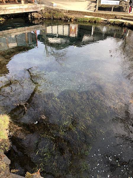 IMG_5470.JPG IMG_5470.JPG