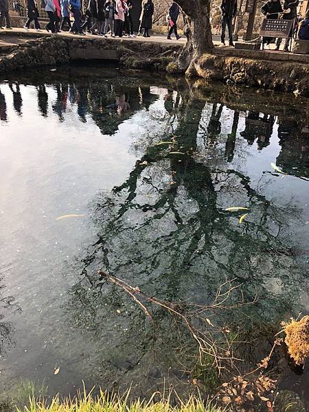 IMG_5483.JPG IMG_5483.JPG