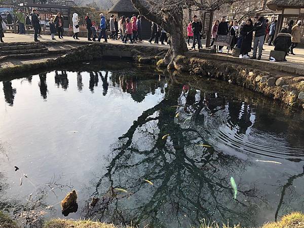 IMG_5484.JPG IMG_5484.JPG