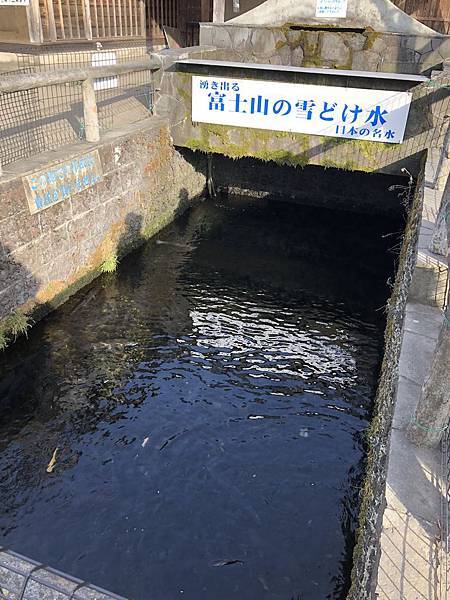 IMG_5487.JPG IMG_5487.JPG