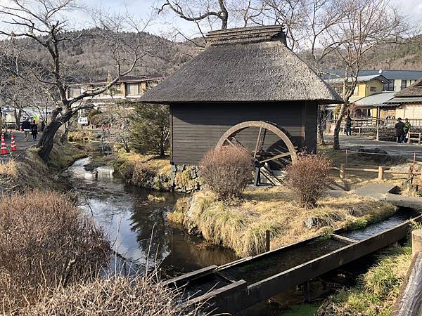 IMG_5492.JPG IMG_5492.JPG