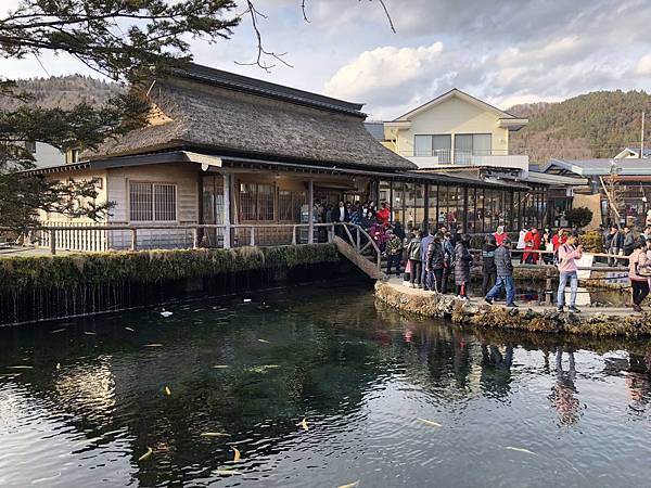 IMG_5495.JPG IMG_5495.JPG