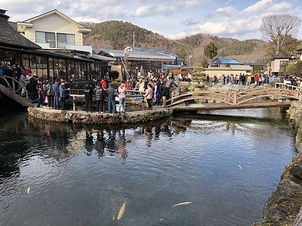 IMG_5496.JPG IMG_5496.JPG