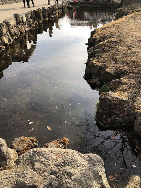 IMG_5499.JPG IMG_5499.JPG