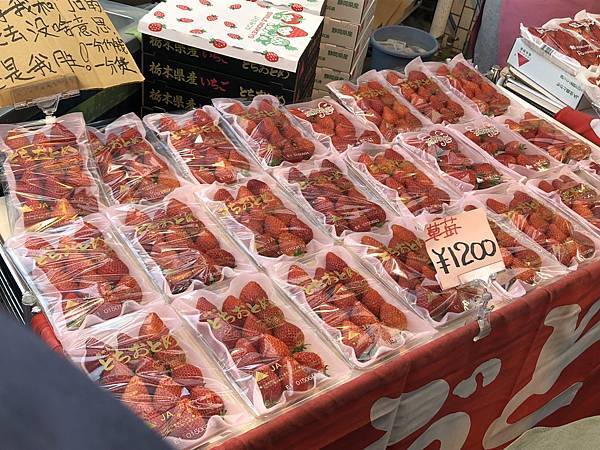 IMG_5519.JPG IMG_5519.JPG