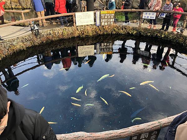 IMG_5528.JPG IMG_5528.JPG