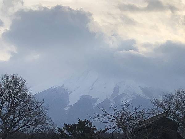 IMG_5535.JPG IMG_5535.JPG