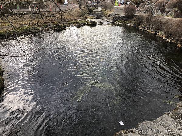 IMG_5537.JPG IMG_5537.JPG