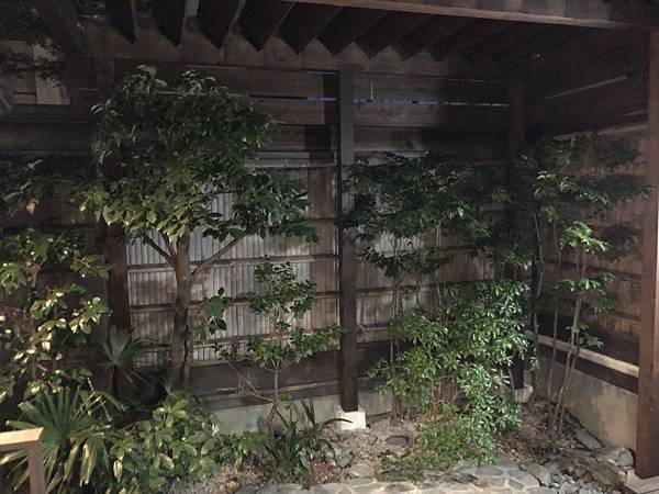 IMG_5555.JPG IMG_5555.JPG