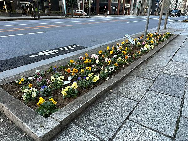 1527d133-be96-4e28-b035-e6a948231f39.jpg 1527d133-be96-4e28-b035-e6a948231f39.jpg