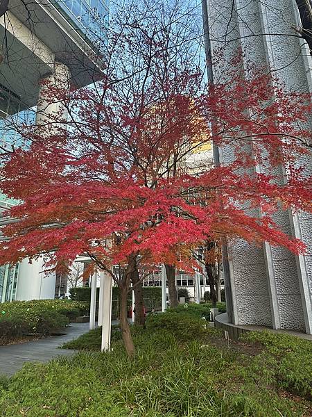 af5a9562-9d99-44a4-9907-6bac419897af.jpg af5a9562-9d99-44a4-9907-6bac419897af.jpg