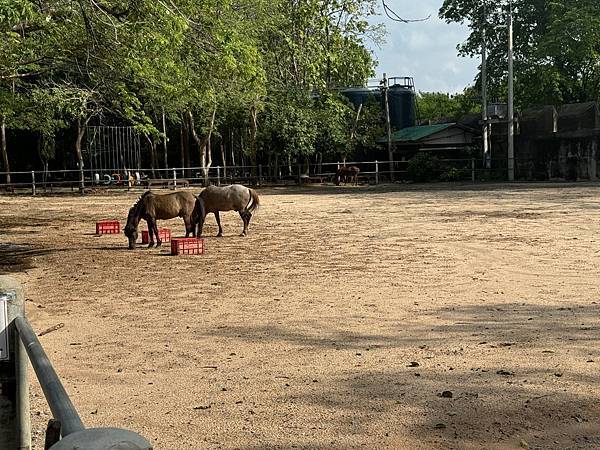 芭堤雅、曼谷 - 13.03.2025 to 17.03.2 芭堤雅、曼谷 - 13.03.2025 to 17.03.2