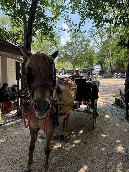 芭堤雅、曼谷 - 13.03.2025 to 17.03.2 芭堤雅、曼谷 - 13.03.2025 to 17.03.2