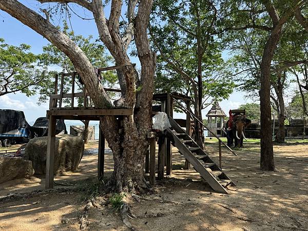 芭堤雅、曼谷 - 13.03.2025 to 17.03.2 芭堤雅、曼谷 - 13.03.2025 to 17.03.2