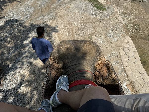 芭堤雅、曼谷 - 13.03.2025 to 17.03.2 芭堤雅、曼谷 - 13.03.2025 to 17.03.2