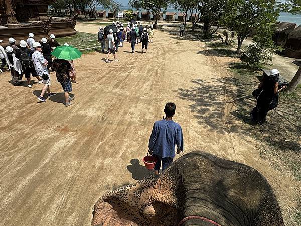 芭堤雅、曼谷 - 13.03.2025 to 17.03.2 芭堤雅、曼谷 - 13.03.2025 to 17.03.2