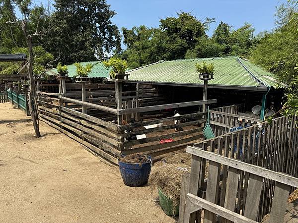 芭堤雅、曼谷 - 13.03.2025 to 17.03.2 芭堤雅、曼谷 - 13.03.2025 to 17.03.2