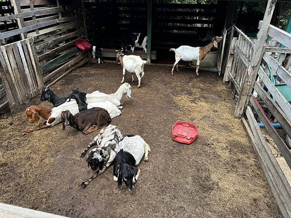 芭堤雅、曼谷 - 13.03.2025 to 17.03.2 芭堤雅、曼谷 - 13.03.2025 to 17.03.2