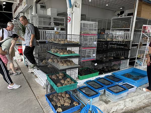 芭堤雅、曼谷 - 13.03.2025 to 17.03.2