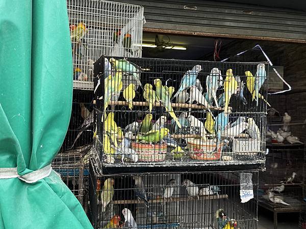 芭堤雅、曼谷 - 13.03.2025 to 17.03.2