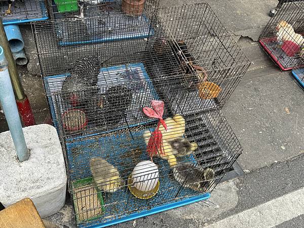 芭堤雅、曼谷 - 13.03.2025 to 17.03.2