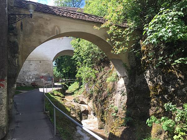 4602F25F-3FA3-4587-B429-6464169662F3.jpeg 4602F25F-3FA3-4587-B429-6464169662F3.jpeg