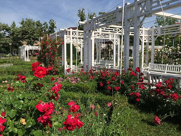 A77381D0-29A8-4DDC-8E5A-B9EC7202F5A6.jpeg A77381D0-29A8-4DDC-8E5A-B9EC7202F5A6.jpeg