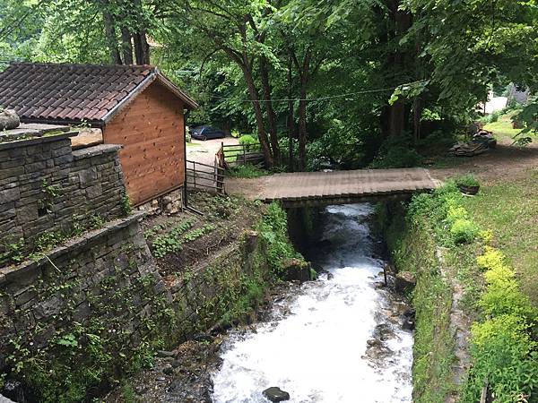 F1E445DD-8A8C-491A-913A-25FAD30B5774.jpeg F1E445DD-8A8C-491A-913A-25FAD30B5774.jpeg