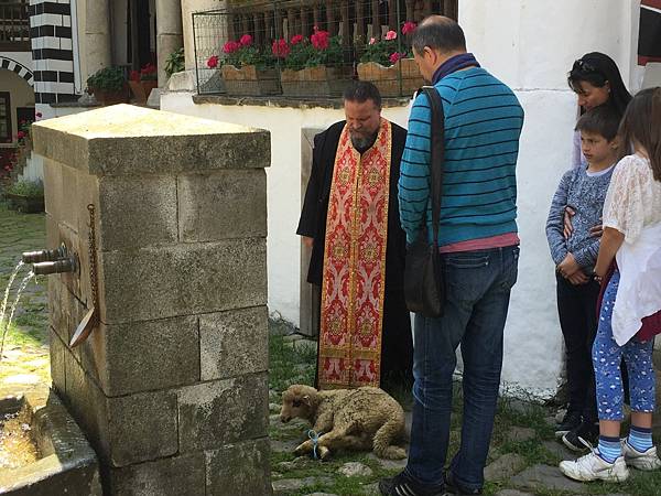 197A71B9-2A19-4140-8E9F-FCB51C5113B3.jpeg 197A71B9-2A19-4140-8E9F-FCB51C5113B3.jpeg