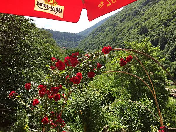 E88C4A48-4427-46FE-961A-DED8C78F0718.jpeg E88C4A48-4427-46FE-961A-DED8C78F0718.jpeg