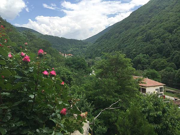 F8E142A0-1683-4B72-BD59-A8E067CA2675.jpeg F8E142A0-1683-4B72-BD59-A8E067CA2675.jpeg