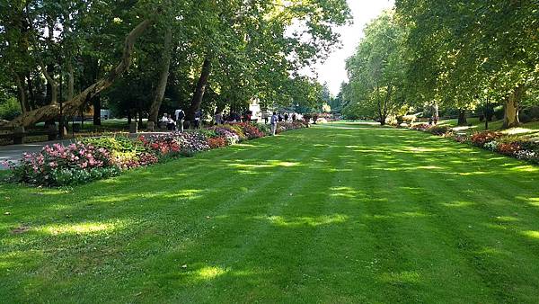 3677ECED-7B6C-49FB-9975-FF9724E9217D.jpeg 3677ECED-7B6C-49FB-9975-FF9724E9217D.jpeg