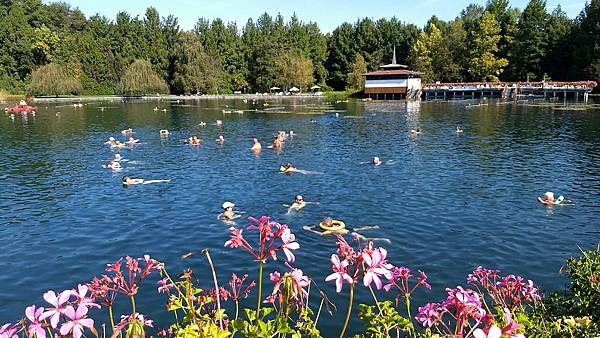 5D09DB8E-4CB2-4E41-AD4A-36BEBFC312FF.jpeg 5D09DB8E-4CB2-4E41-AD4A-36BEBFC312FF.jpeg