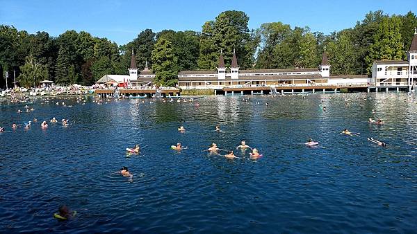 92585E5A-C2DF-4F87-941B-ACC6F563A813.jpeg 92585E5A-C2DF-4F87-941B-ACC6F563A813.jpeg