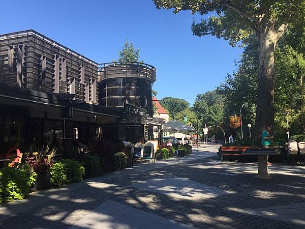 A2A8DABB-7F1A-4EBC-B460-B57226A17185.jpeg A2A8DABB-7F1A-4EBC-B460-B57226A17185.jpeg