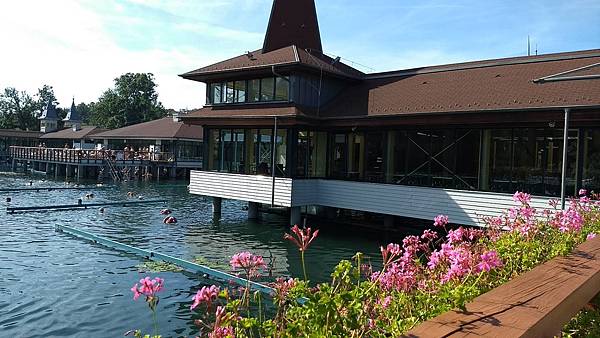 556B0BBF-B47A-4EB6-A81C-B1158F226A81.jpeg 556B0BBF-B47A-4EB6-A81C-B1158F226A81.jpeg