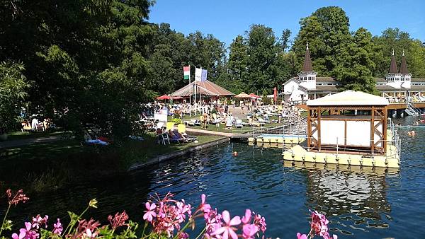 E559BDB3-B71C-4735-8305-D3B07C38D46B.jpeg E559BDB3-B71C-4735-8305-D3B07C38D46B.jpeg