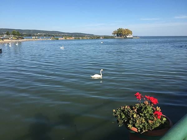 1B85FD6C-E38E-4D09-9D60-1146C1484926.jpeg 1B85FD6C-E38E-4D09-9D60-1146C1484926.jpeg