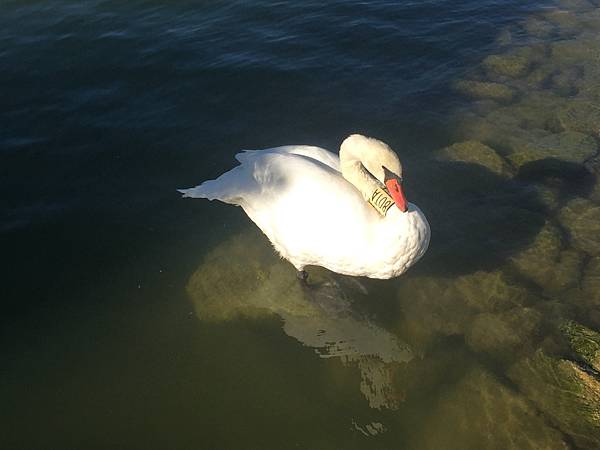 FE929EBD-7A5D-457E-865C-FF6051F2B9B2.jpeg FE929EBD-7A5D-457E-865C-FF6051F2B9B2.jpeg