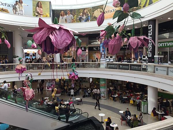 1877B0DF-FF31-470F-B3BD-83380253B278.jpeg 1877B0DF-FF31-470F-B3BD-83380253B278.jpeg