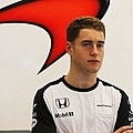 2017 F1新人車手Stoffel Vandoorne