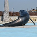 擱淺的鯨魚
