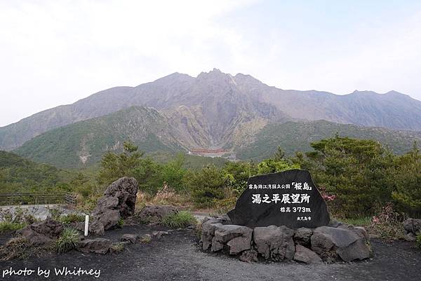 P2290090 P2290090