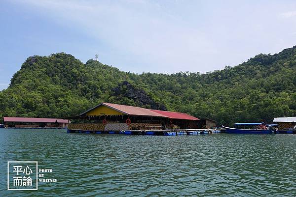 Mangrove River Safari Tour (41).JPG