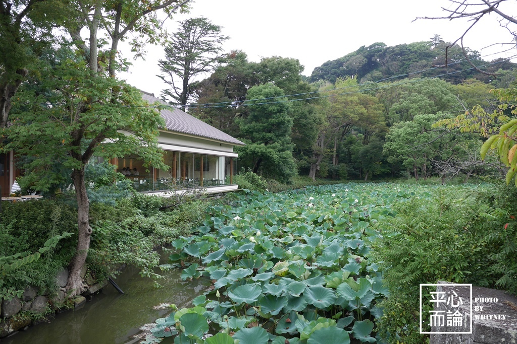 鶴岡八幡宮 (6).JPG