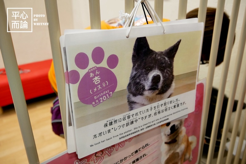 秋田犬ステーション(Akita Dog Station) (4).JPG