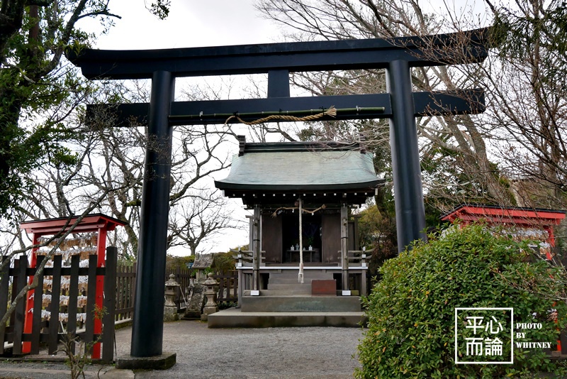 伊豆之國全景公園(伊豆の国パノラマパーク) (33).JPG